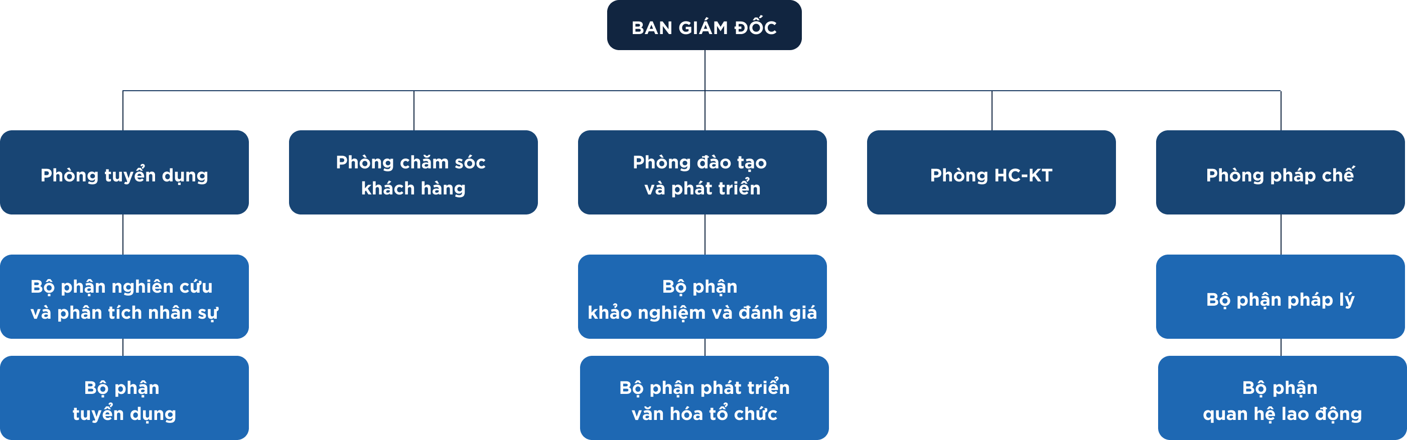 Sơ đồ tổ chức